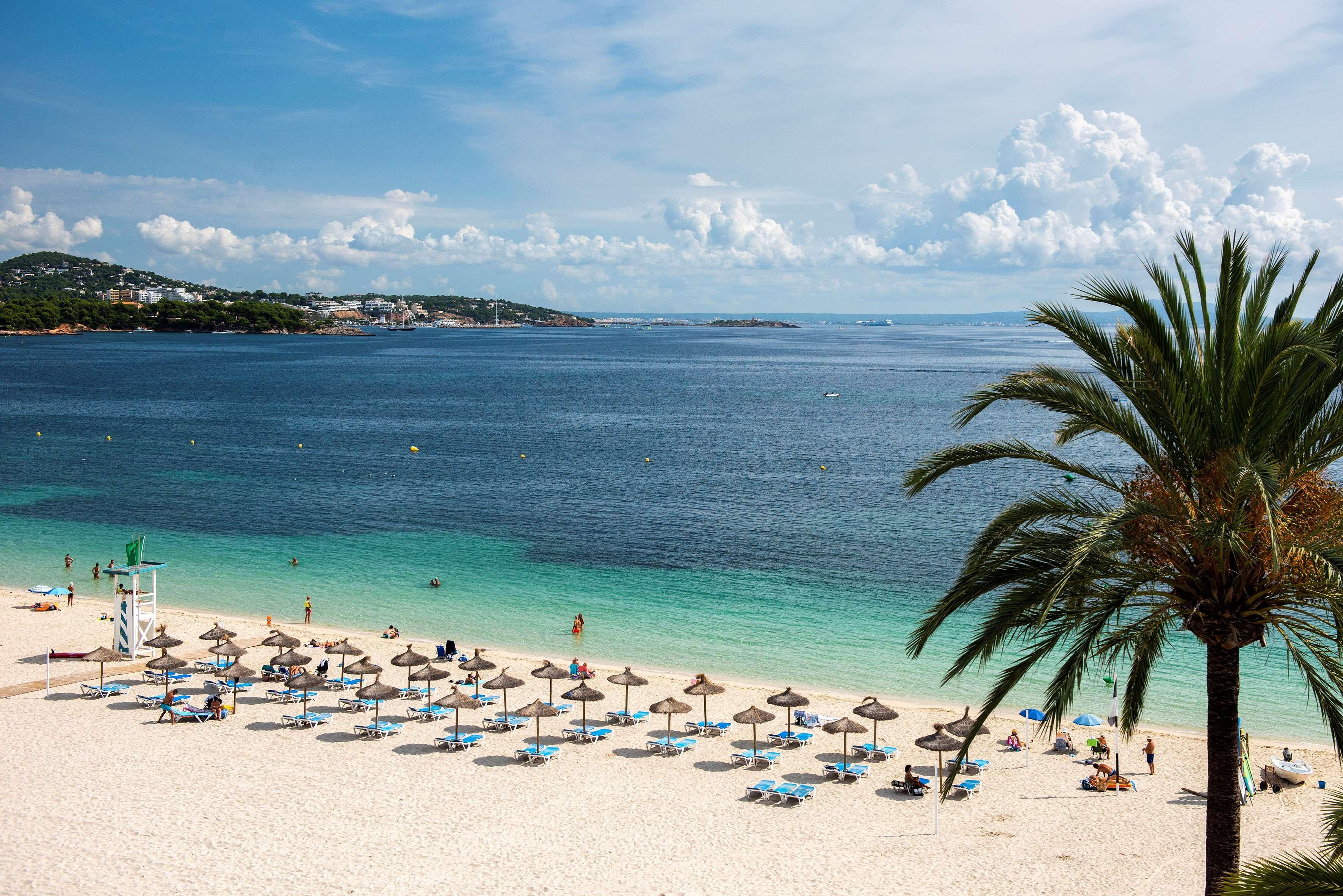 Zel Mallorca (adults Only) Hotel Palmanova